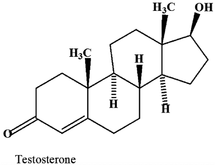 Cover image for the 4 Ways To Naturally Increase Your Testosterone! article